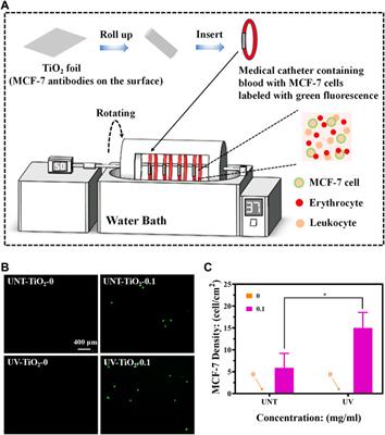 Photo-functionalized TiO2 film for facile immobilization of EpCAM antibodies and efficient enrichment of circulating tumor cells